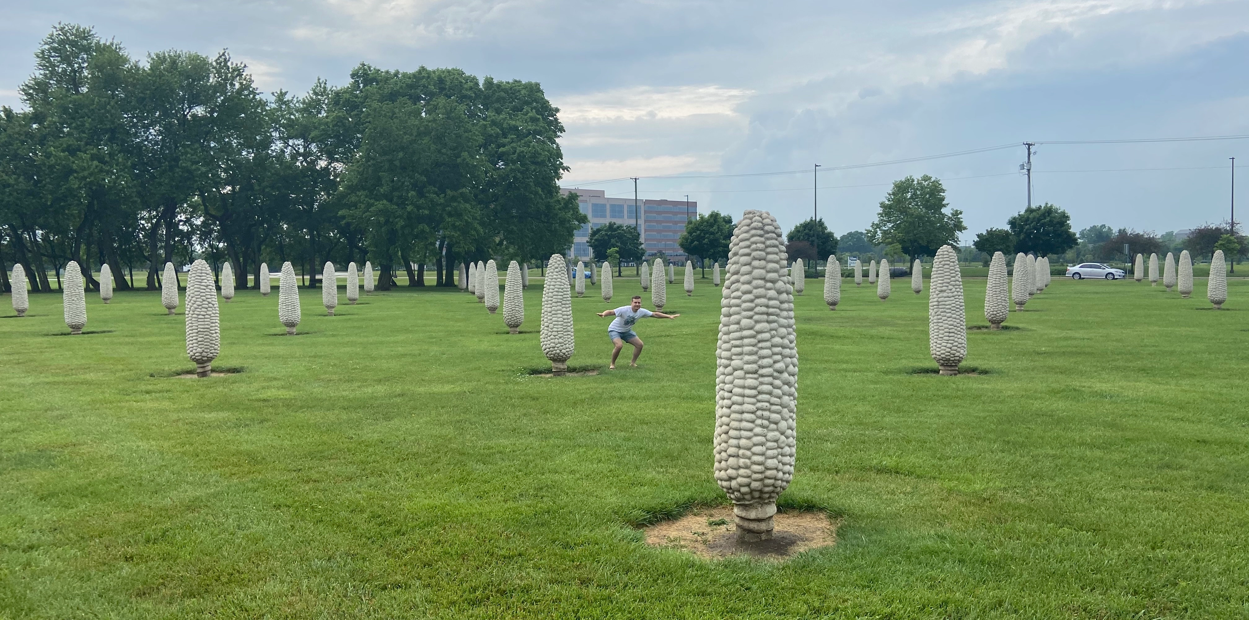 Dublin, Ohio - the Field of Corn
