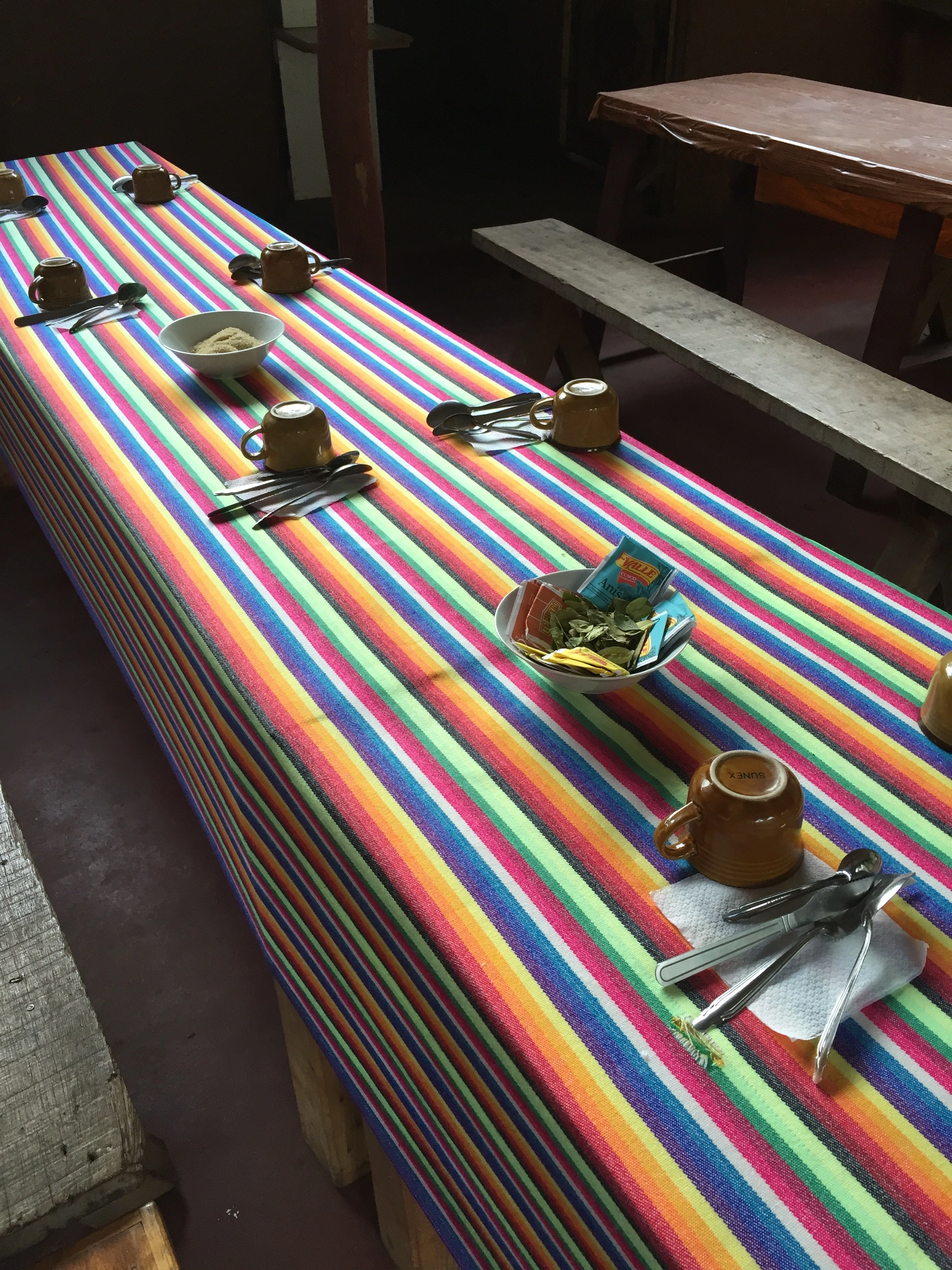 Dinner table in the jungle