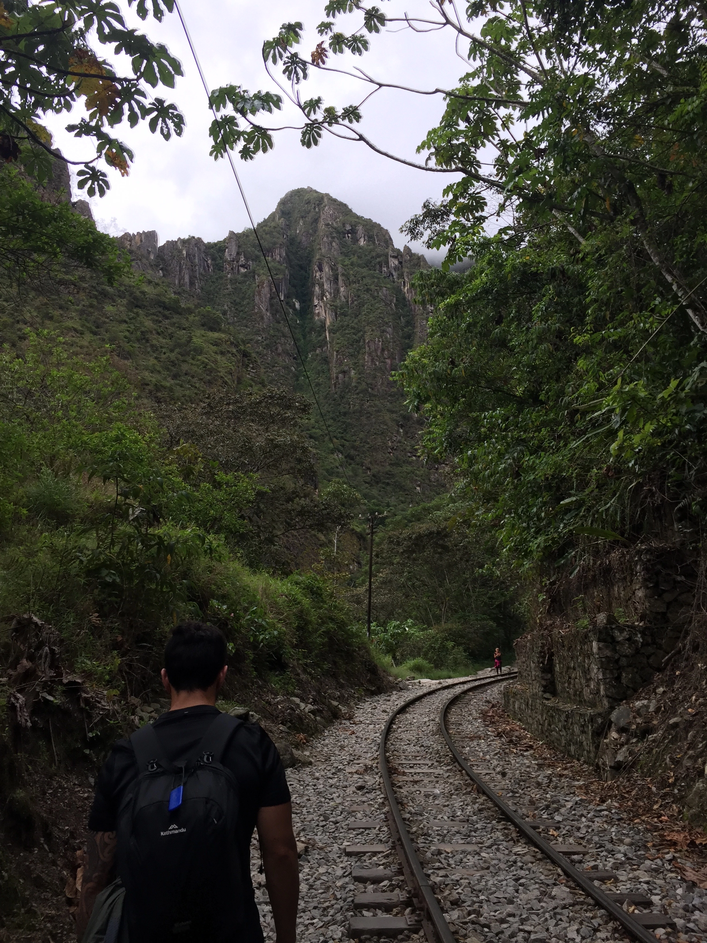 Train tracks in the jungle